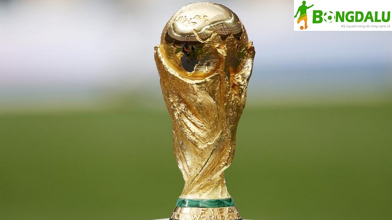 giải đấu World Cup thu hút sự tham gia của 32 đội bóng quốc gia
