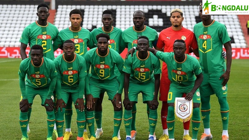 Senegal là đội bóng có sự đoàn kết và tinh thần chiến đấu cao của các cầu thủ