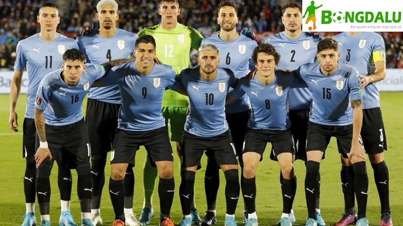 Đội tuyển Uruguay năm 2023-24